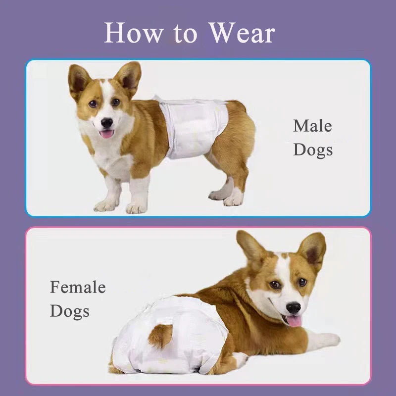 10/12PCs Disposable Pet Diaper for Female Dogs Male Dogs Breathable Absorbent Puppy Menstrual Trousers Dog Accessories