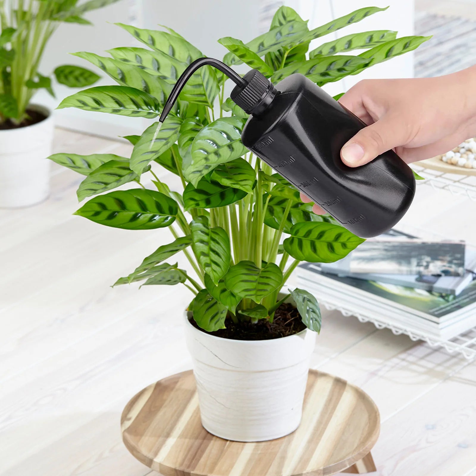 250/500ml Tattoo Spray Bottle Plastic Safety Wash Bottles Lab Tattoo Squeeze Bottle Tattoo Accessories Microblading Supplies