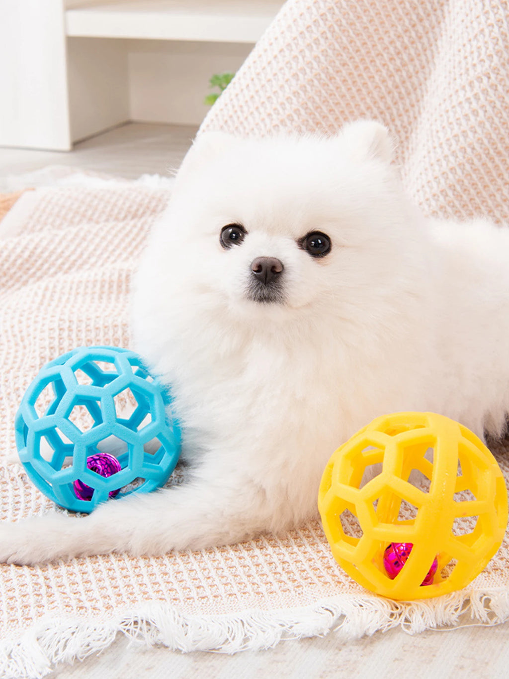 2 Pet Dog Toys: Bite-Resistant Bell Ball & Tri-Color Molar Ring, Soft Rubber for Teeth Grinding & Chewing